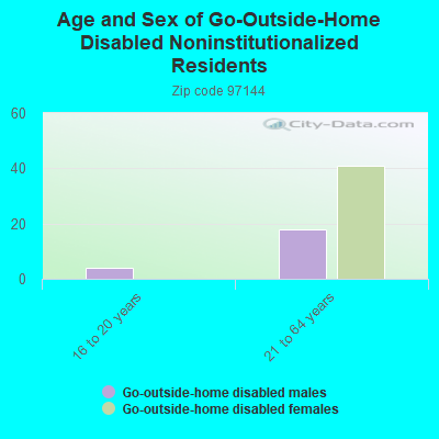 Age and Sex of Go-Outside-Home Disabled Noninstitutionalized Residents