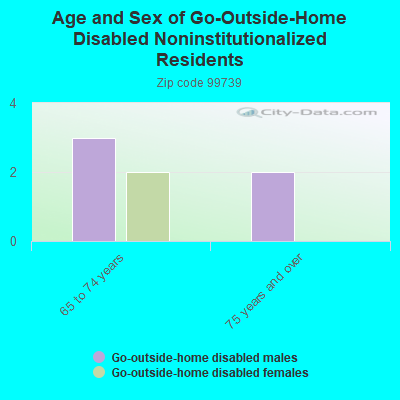 Age and Sex of Go-Outside-Home Disabled Noninstitutionalized Residents