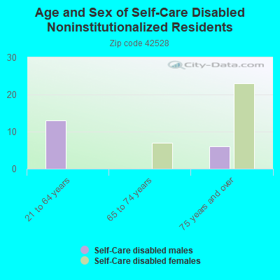 Age and Sex of Self-Care Disabled Noninstitutionalized Residents