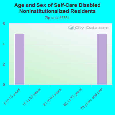 Age and Sex of Self-Care Disabled Noninstitutionalized Residents