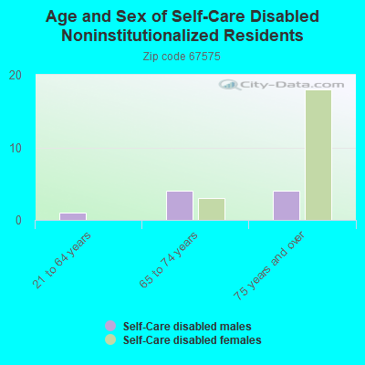 Age and Sex of Self-Care Disabled Noninstitutionalized Residents