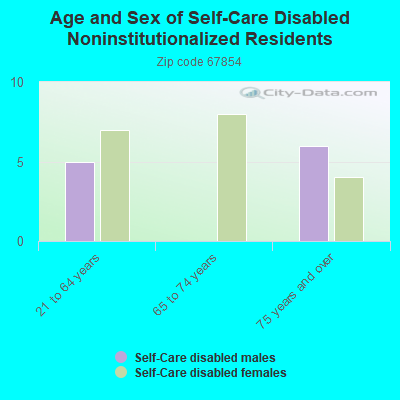 Age and Sex of Self-Care Disabled Noninstitutionalized Residents