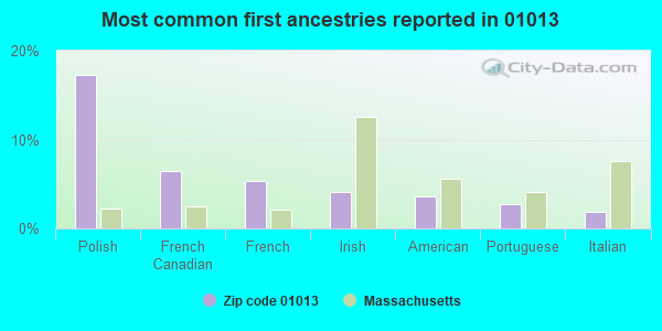 Most common first ancestries reported in 01013
