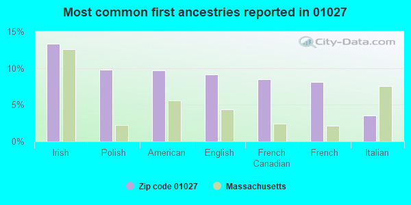 Most common first ancestries reported in 01027