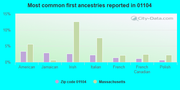 Most common first ancestries reported in 01104