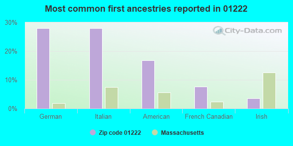 Most common first ancestries reported in 01222