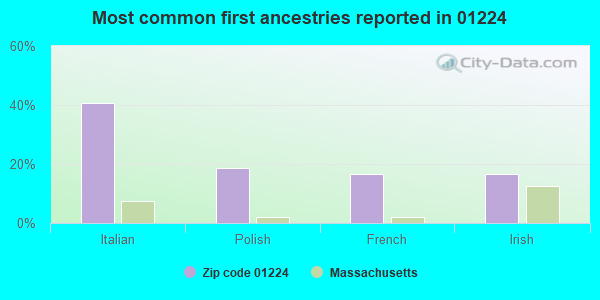 Most common first ancestries reported in 01224