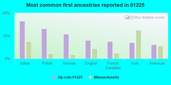 Most common first ancestries reported in 01225