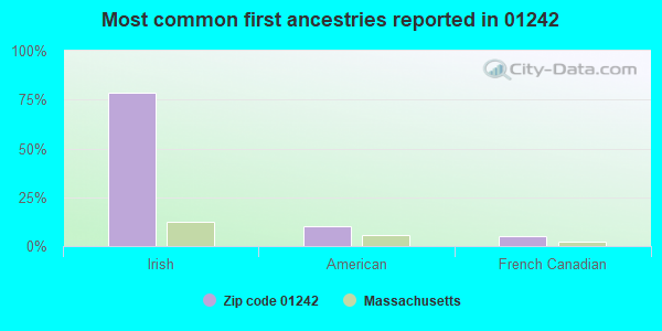 Most common first ancestries reported in 01242