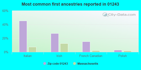Most common first ancestries reported in 01243