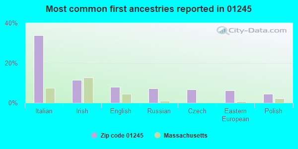 Most common first ancestries reported in 01245