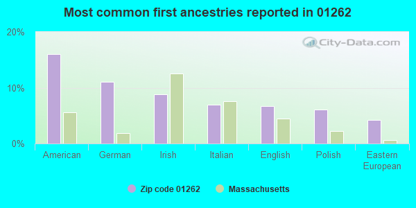 Most common first ancestries reported in 01262