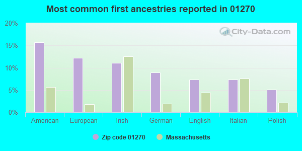 Most common first ancestries reported in 01270