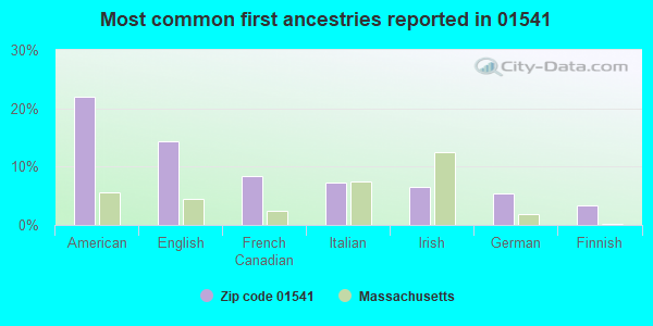 Most common first ancestries reported in 01541