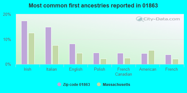 Most common first ancestries reported in 01863