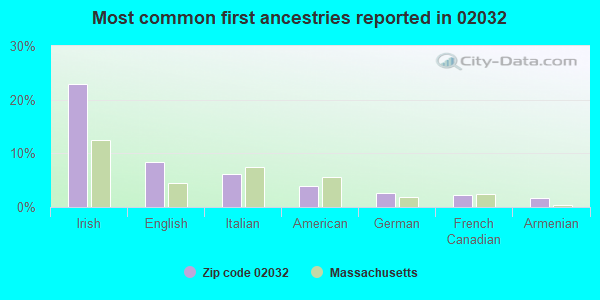 Most common first ancestries reported in 02032