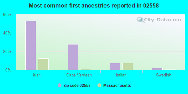 Most common first ancestries reported in 02558