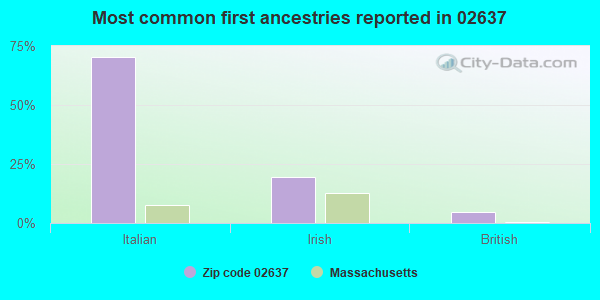 Most common first ancestries reported in 02637