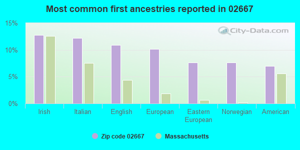 Most common first ancestries reported in 02667