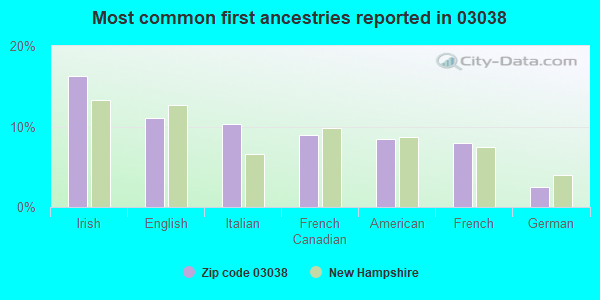 Most common first ancestries reported in 03038