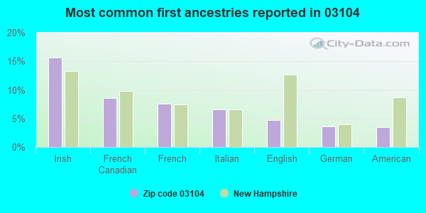 Most common first ancestries reported in 03104