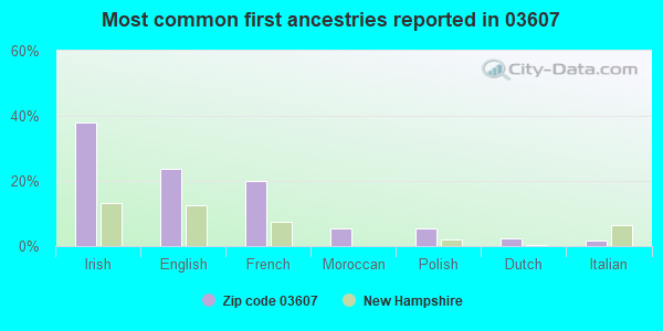 Most common first ancestries reported in 03607