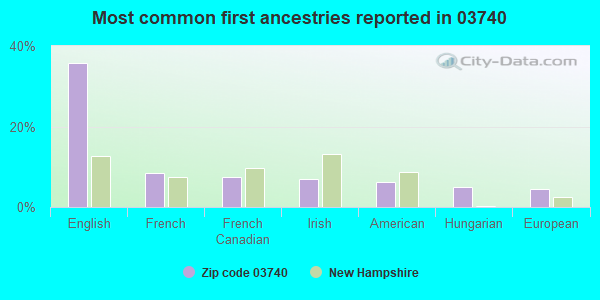 Most common first ancestries reported in 03740