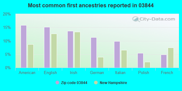 Most common first ancestries reported in 03844