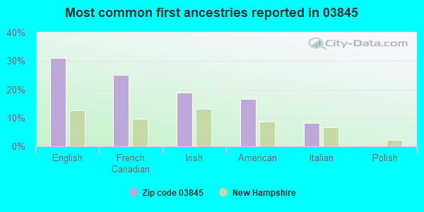 Most common first ancestries reported in 03845