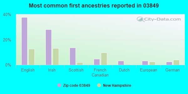 Most common first ancestries reported in 03849