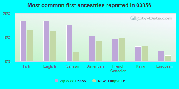Most common first ancestries reported in 03856