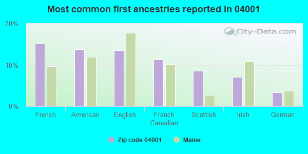Most common first ancestries reported in 04001