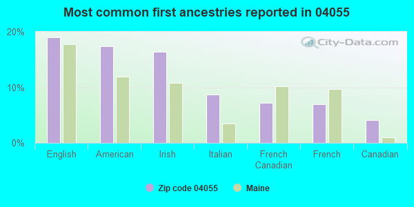 Most common first ancestries reported in 04055