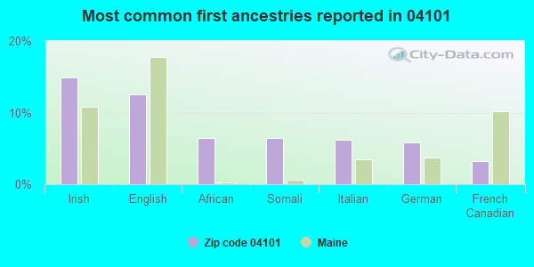 Most common first ancestries reported in 04101