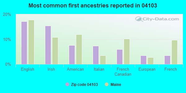 Most common first ancestries reported in 04103