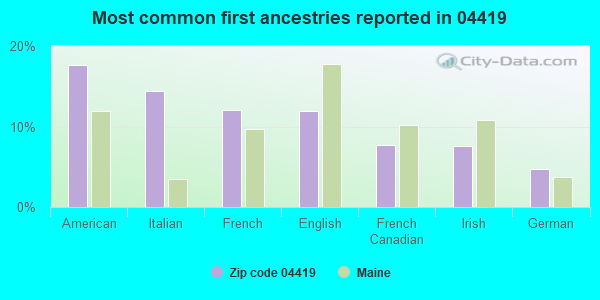 Most common first ancestries reported in 04419