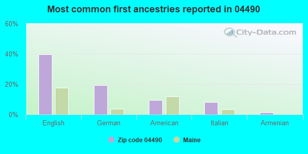 Most common first ancestries reported in 04490