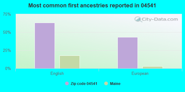 Most common first ancestries reported in 04541