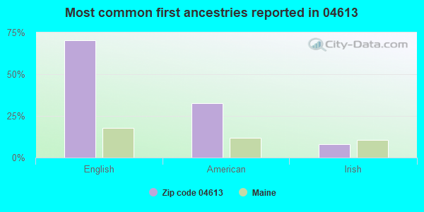 Most common first ancestries reported in 04613
