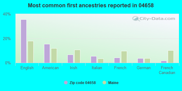 Most common first ancestries reported in 04658