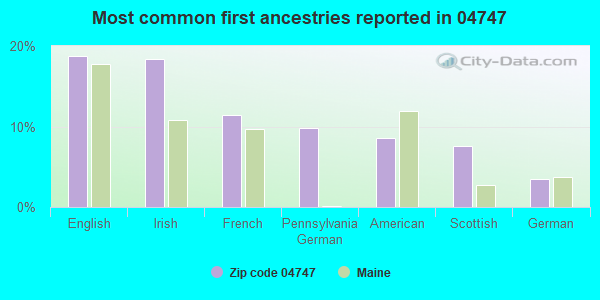 Most common first ancestries reported in 04747