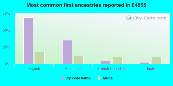 Most common first ancestries reported in 04855