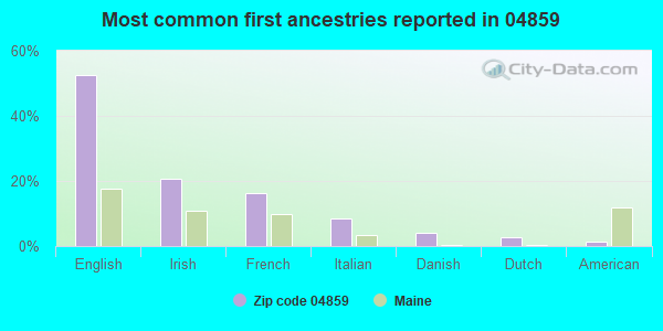 Most common first ancestries reported in 04859