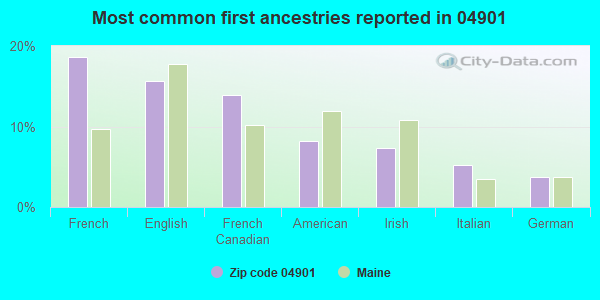 Most common first ancestries reported in 04901