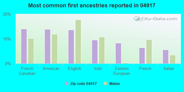 Most common first ancestries reported in 04917