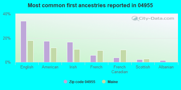 Most common first ancestries reported in 04955