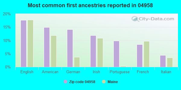 Most common first ancestries reported in 04958