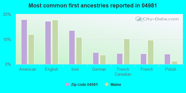 Most common first ancestries reported in 04981