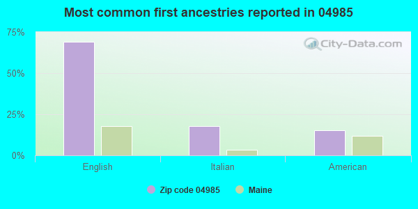 Most common first ancestries reported in 04985