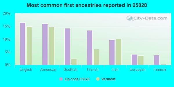 Most common first ancestries reported in 05828